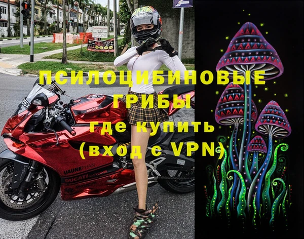 индика Магадан