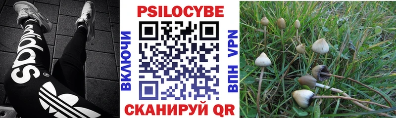 Купить где  Усть-Катав  Галлюциногенные грибы мицелий 